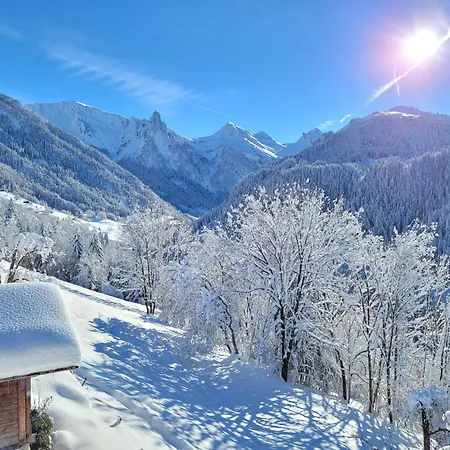 Les Brevins Chalet *