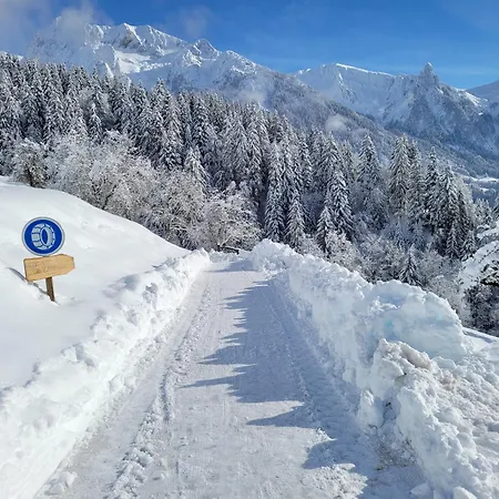 Les Brevins Chalet Manigod