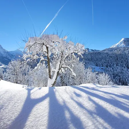 Chalet Les Brevins Manigod