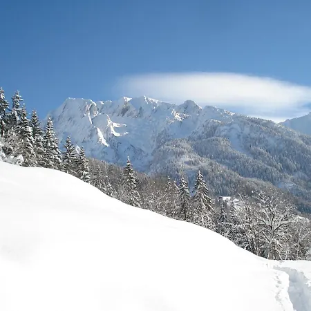 Les Brevins Chalet *